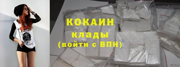 прущие грибы Сафоново