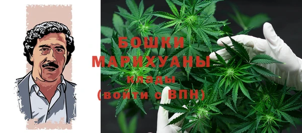 прущие грибы Сафоново