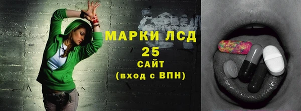 PSILOCYBIN Алзамай